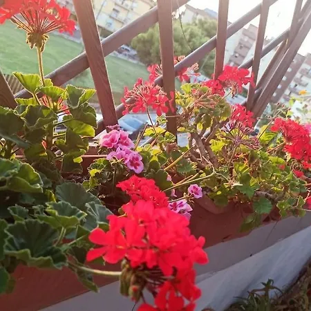 Nanni's Terrace - 18 Min From The Port - Cyclist Friendly