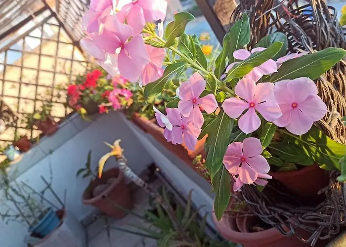 شقة Nanni's Terrace - 18 Min From The Port - Cyclist Friendly ساساري