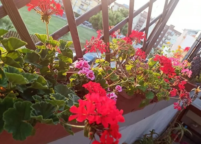 Nanni's Terrace - 18 Min From The Port - Cyclist Friendly